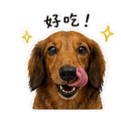 我們的阿兩弟弟