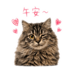 銘哥の日常