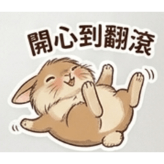 兔宅KIKI的日常
