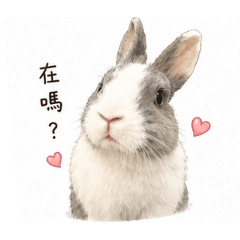 花兒生活日常