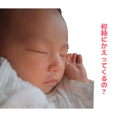 Atsumori_20260531095359