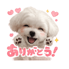 fumi_20260531095858