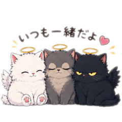 chamo_20260531095447