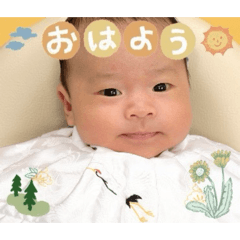 masadori_20260531100918
