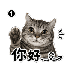大肥貓弟弟貼圖01