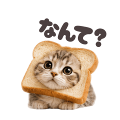onigiri_20260531074418