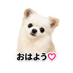 MYHKSR_20260531103257