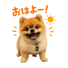 hiro.y_20260531103318