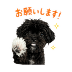 URU dog stamps