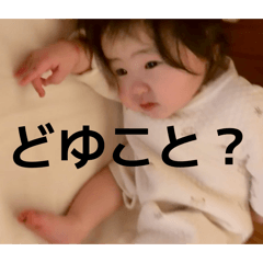 ponie_20260531105608