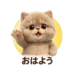 Mink Faux Fur Exot. Shorthair Cat Boyfri