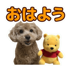kayanuma_20260528144544