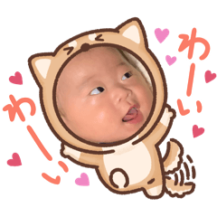 Y_20260531112234