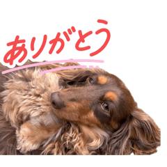 yumekiti_20260531115040