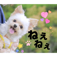 miko_20260531114711