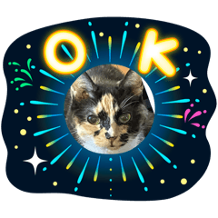 PPAP_20260531115608