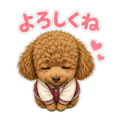 Musubi [anime] of the Super-Clingy Dog