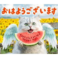 rei_20260528193140