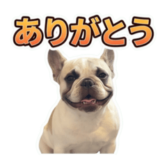 mocha_20260531124256