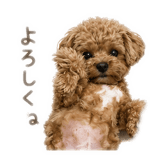 yuji525_20260531124428