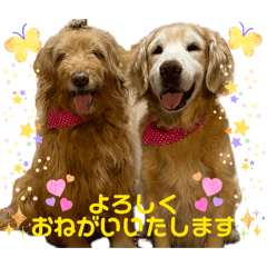 ayumi_20260531124755