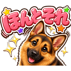 Yozora_20260531125325