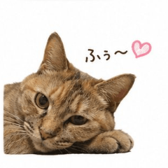 HIDEKI SAITO_20260531134402