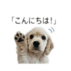 lily_20260531141101