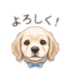 lily_20260531140812