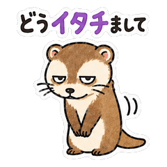 Pun-filled animal stickers