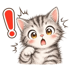 Daily Cat Quick Reply Stickers_6
