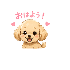 hana_20260531134252