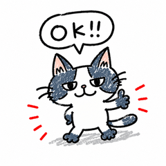 JudgyCat