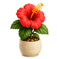 ALOHA BOTANICAL COLLECTION