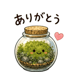 Moss Terrarium