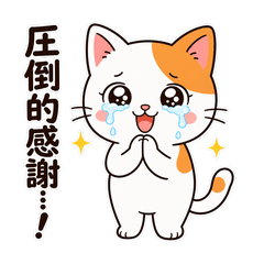 Expressive Cat:Quirky Stickers