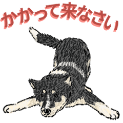 Lucky the Mixed Breed Dog Fun Sticker