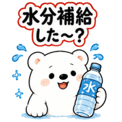 Chilly Bear Summer & Daily Chat