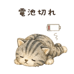 MMarie_20260611132754