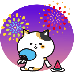 a summer trichael cat
