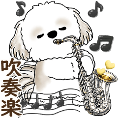 シーズー犬 「吹奏楽部」2026