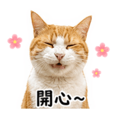 Uni生活應用篇