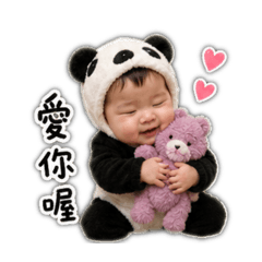 吳皇萬歲寶寶熊貓裝