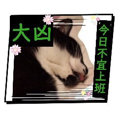 老么～吳太極