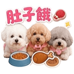 三個寶貝熊