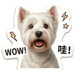 Mi呀來囉
