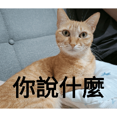老二～吳焦糖