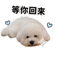 元元和Lulu