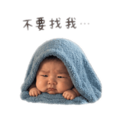 弟弟鮪魚