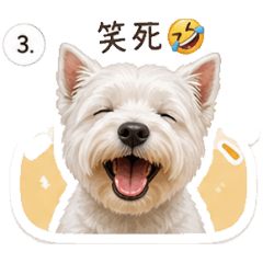 Mi呀來囉1